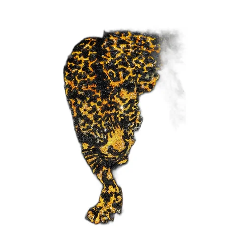 Bomber Jacket With Leopard Print