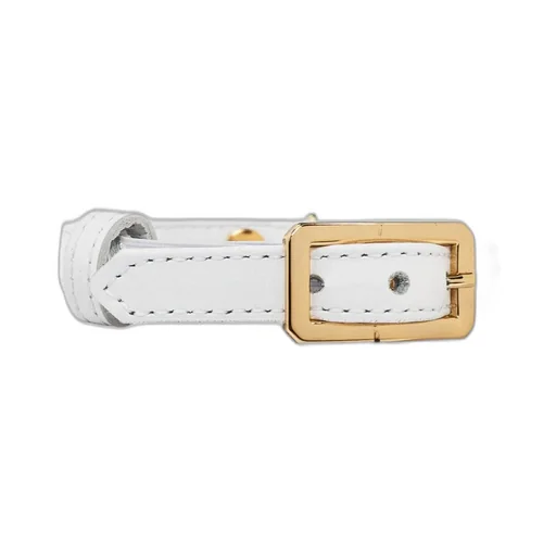Medusa Charm Collar