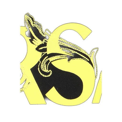 Logo Hoodie