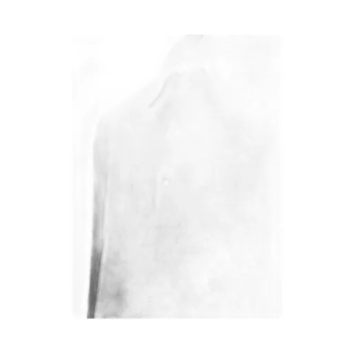 Long Sleeve Polo Shirt
