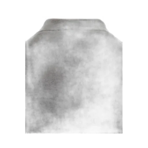 Long Sleeve Polo Shirt