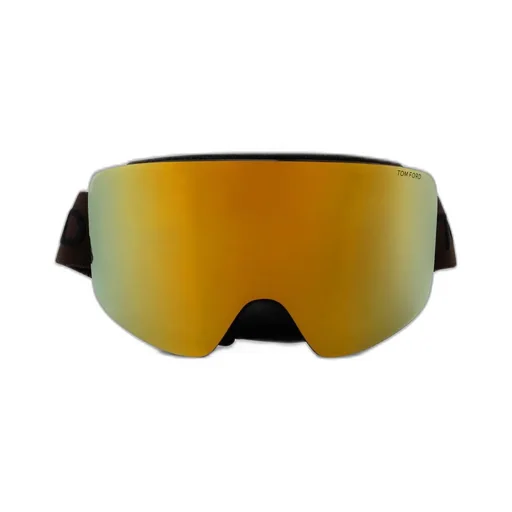 Ski Goggles