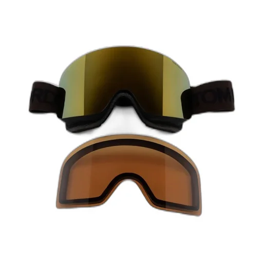 Ski Goggles
