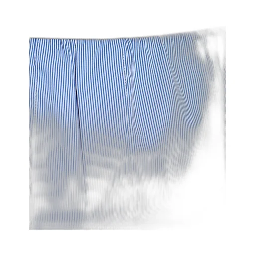 Striped Boxer Briefs