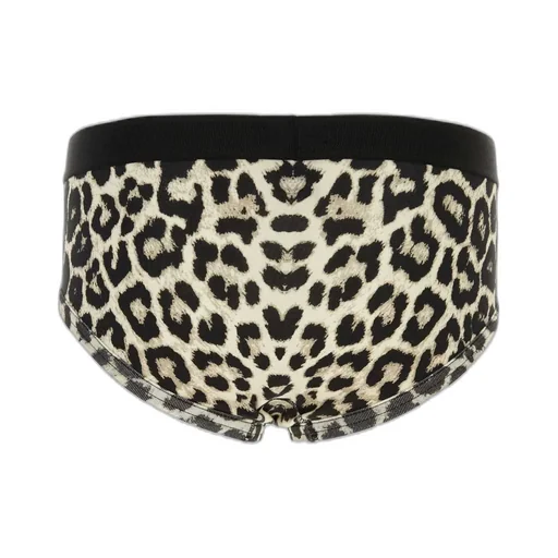 Briefs