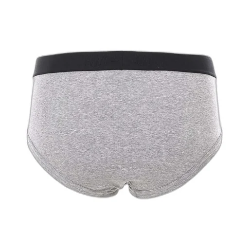 Briefs