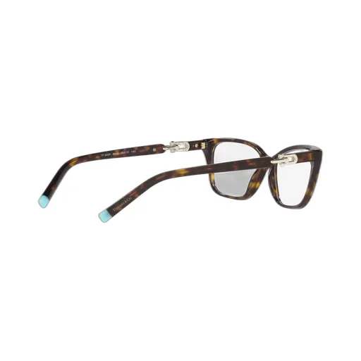 Cat-Eye Glasses