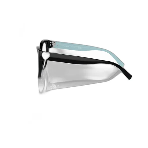 Cat-Eye Glasses