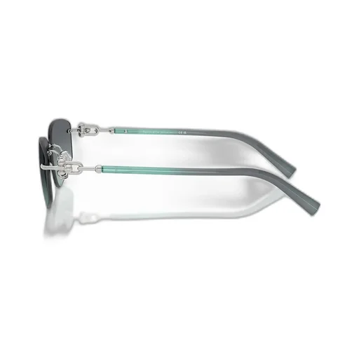 Rimless Shield Sunglasses