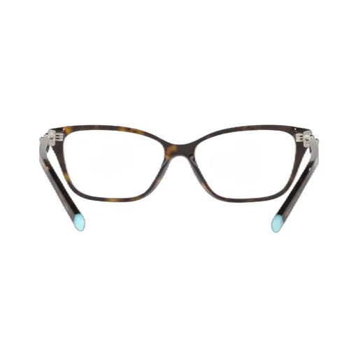 Cat-Eye Glasses