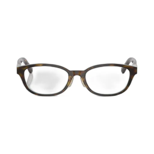 Eyeglasses