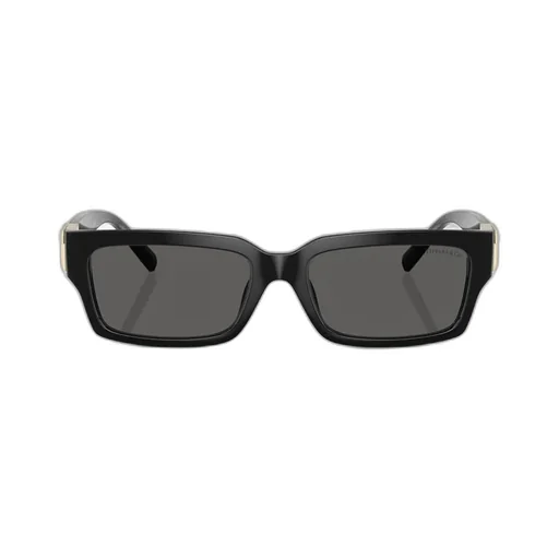 Rectangular Sunglasses