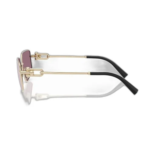Square Sunglasses