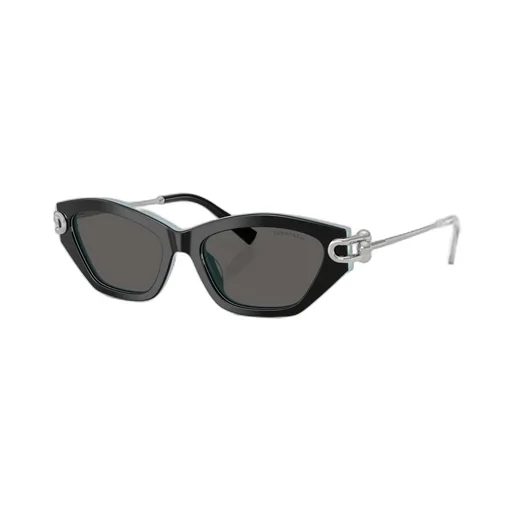 Cat-Eye Sunglasses