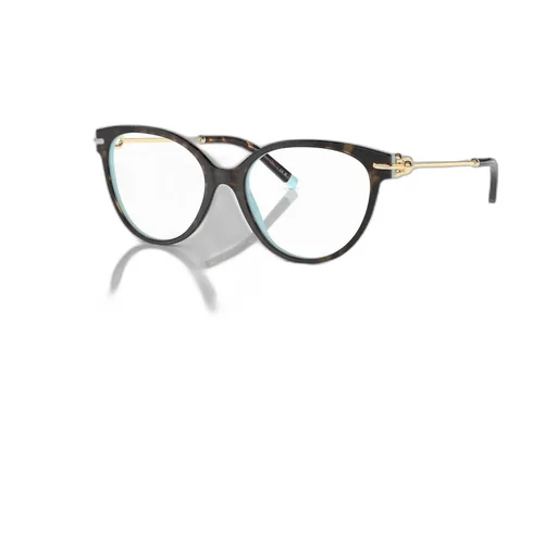Cat-Eye Glasses