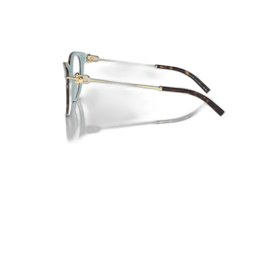 Cat-Eye Glasses