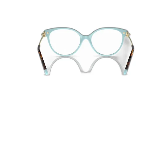 Cat-Eye Glasses