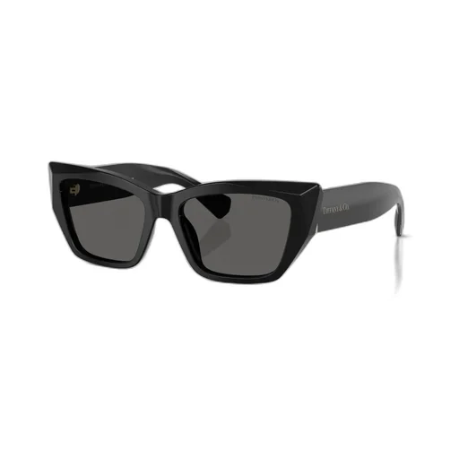 Cat Eye Sunglasses