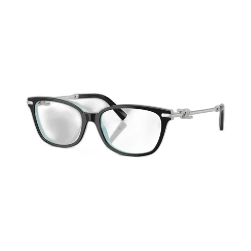 Eyeglasses
