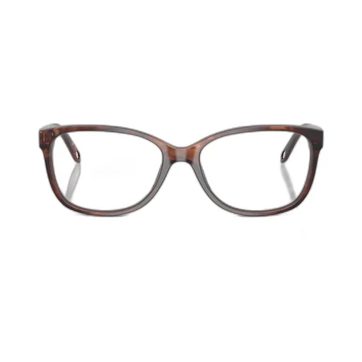 Eyeglasses