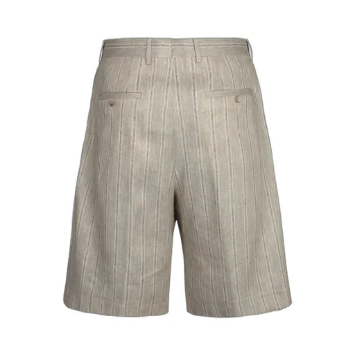 Pleated Stripe Shorts