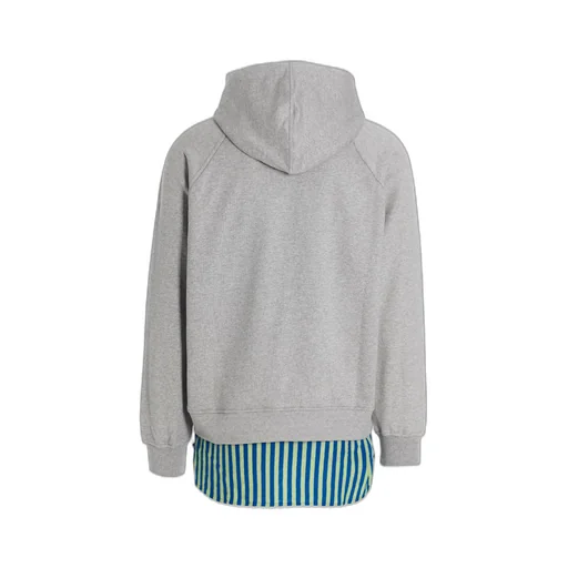 Hooded Sweatshirt With Layered Shirt Hem