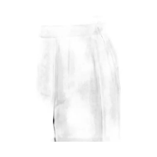 Pleated Shorts