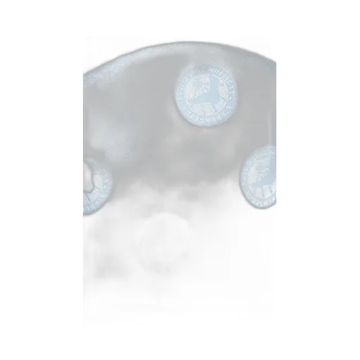 Orthotic Insoles