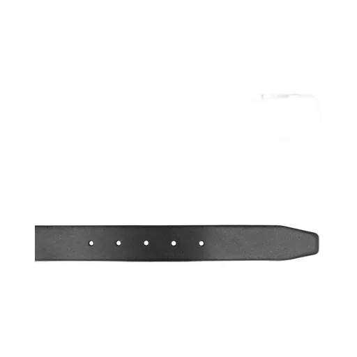 Reversible Belt
