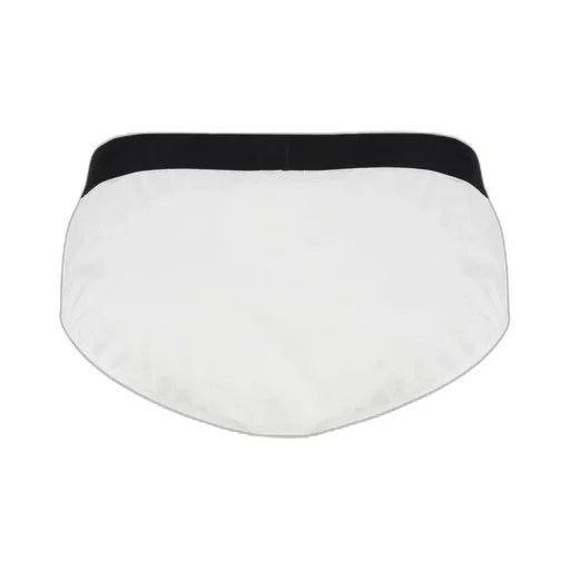 Briefs