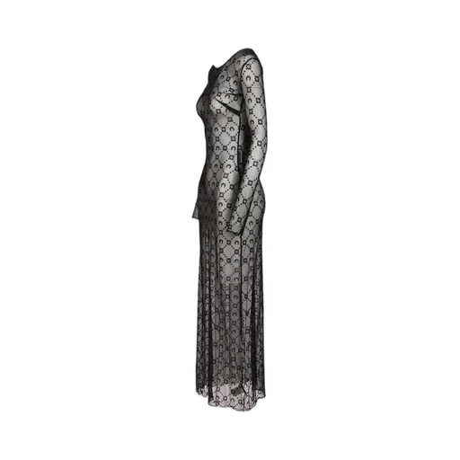 Sheer Long Sleeve Maxi Dress