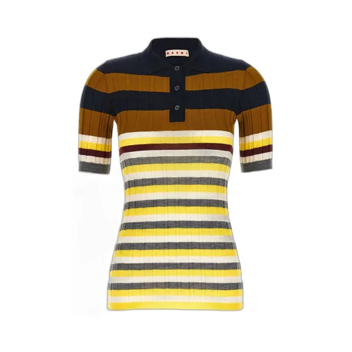 Striped Knit Polo Shirt