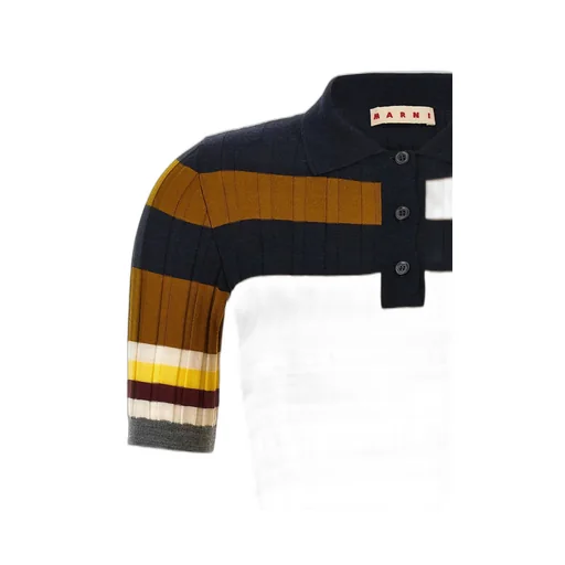 Striped Knit Polo Shirt