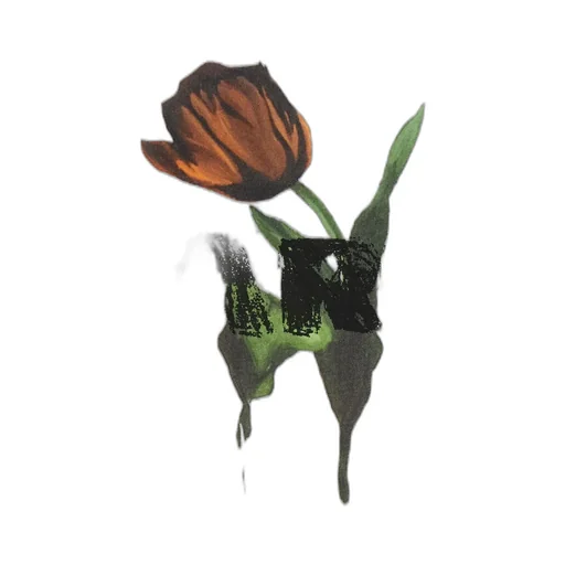T-Shirt With Tulip Print