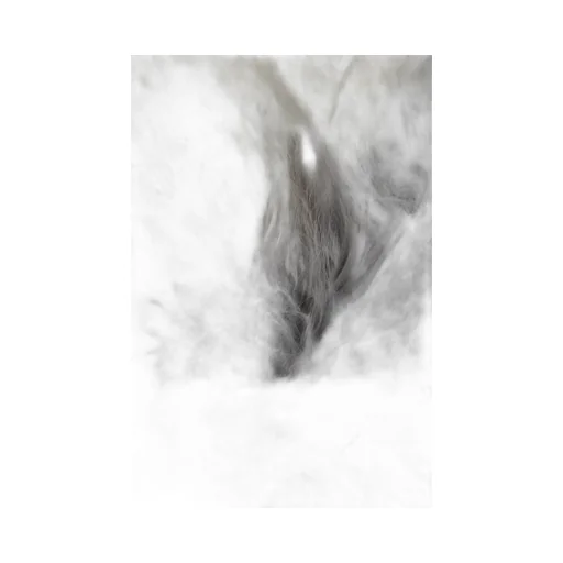 Faux Fur Scarf