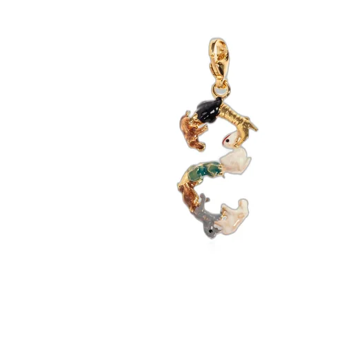 Alphabet Charm S