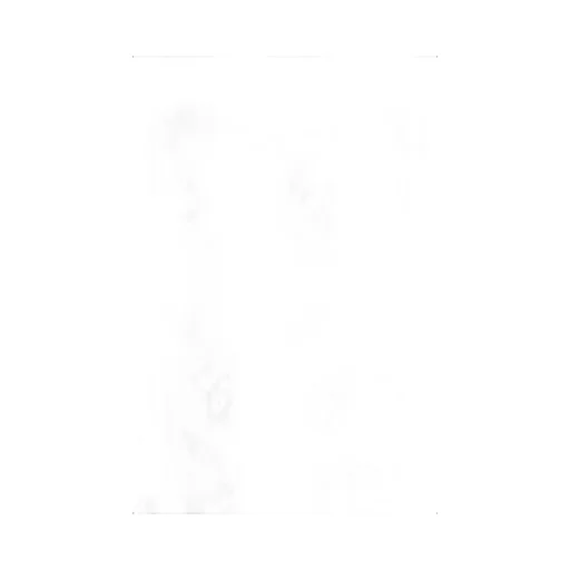 Embroidered Wide-Leg Jeans