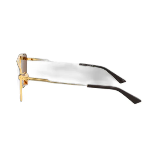 Aviator Sunglasses