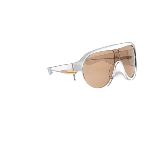 Shield Sunglasses