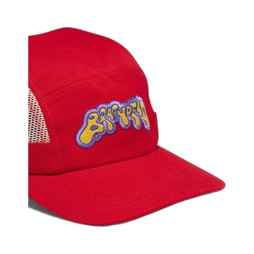 Mesh Panel Cap
