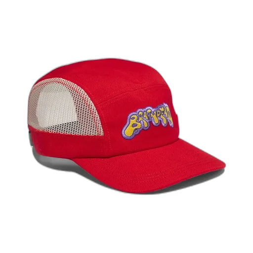 Mesh Panel Cap