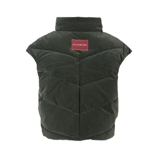 Puffer Vest