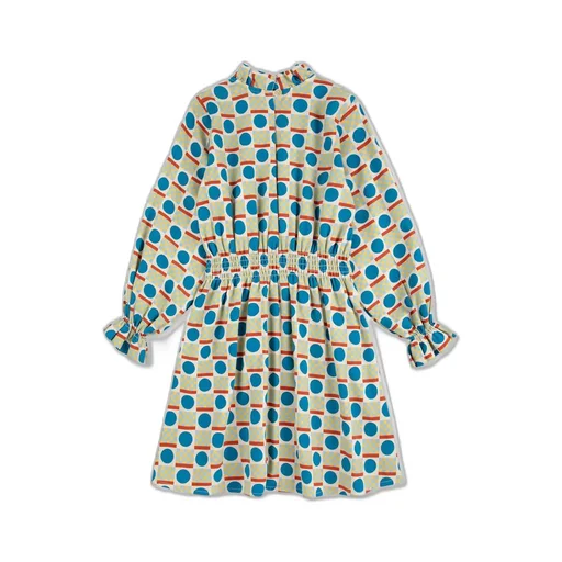 Printed Long Sleeve Dress