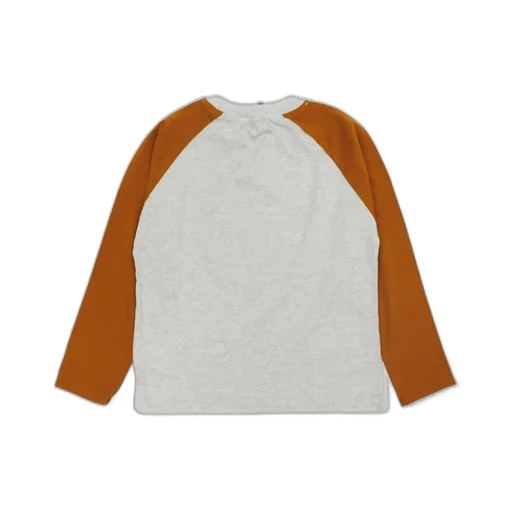 Raglan Long Sleeve T-Shirt