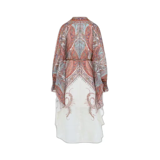 Paisley Print Silk Dress
