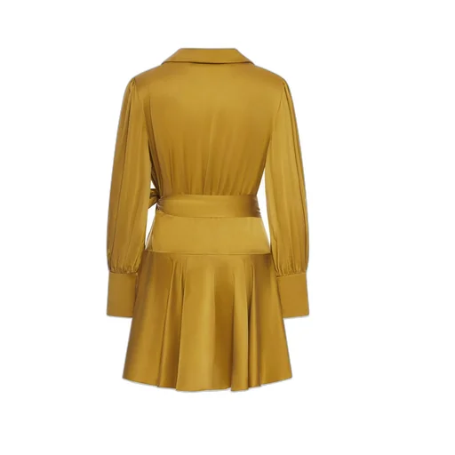 Wrap Dress