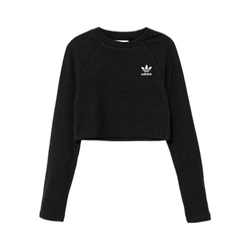 Cropped Long Sleeve Top