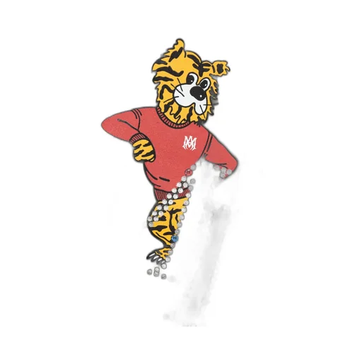 Tiger Graphic Sweatshirt