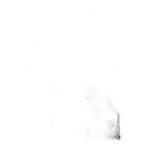 Parka With Drawstring Waist