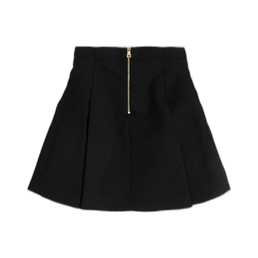 Pleated Button-Front Skirt